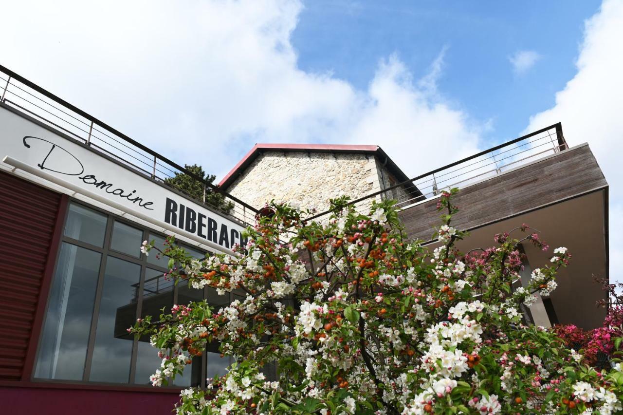 Domaine Riberach - Restaurant Etoile - Spa - Piscine Naturelle - Vignoble Bio Bélesta Exteriör bild